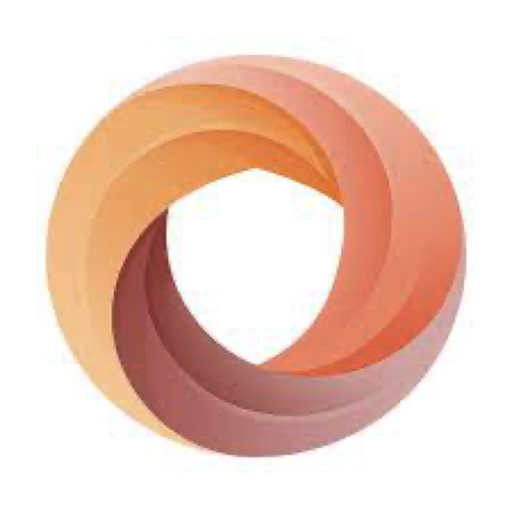 银狐 VPN 加速器 Logo